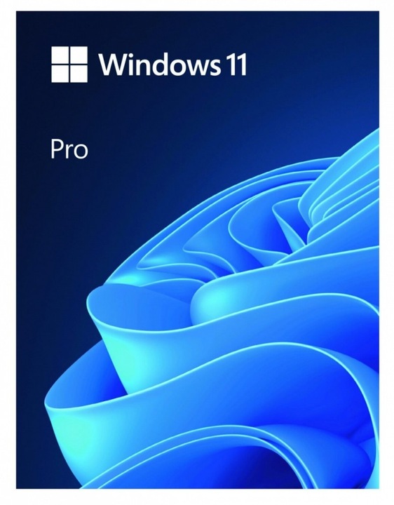 Program MICROSOFT Windows 11 Professional Box