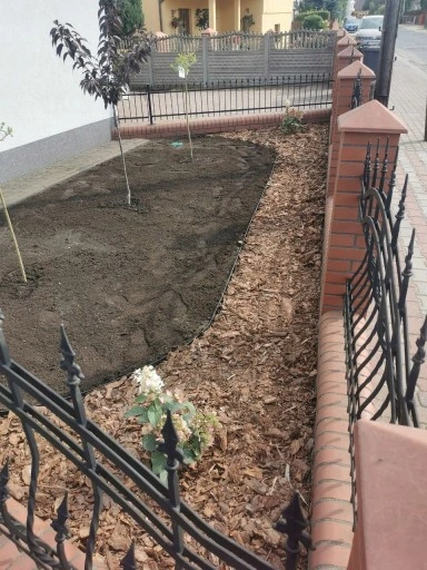 NASIONA TRAWY 5KG TRAWA SAMO ZAGĘSZCZAJĄCA ODPORNA UNIWERSALNA GREENATO