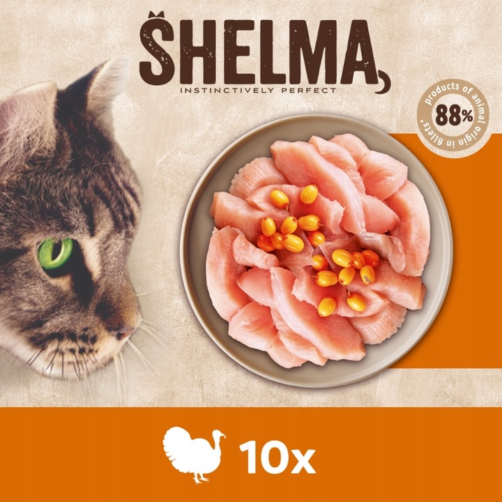 MOKRA KARMA DLA KOTA SHELMA MEGA BOX 40X85G FILECIKI MIX 4 SMAKÓW BEZ