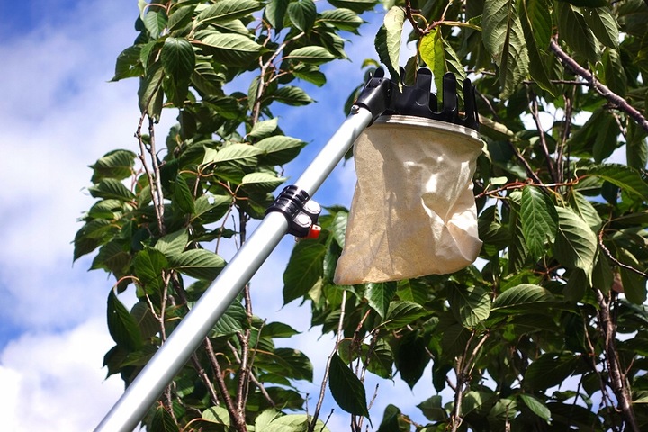 Zbierak do owoców teleskopowy trzonek koszt z tkaniny 3,75m