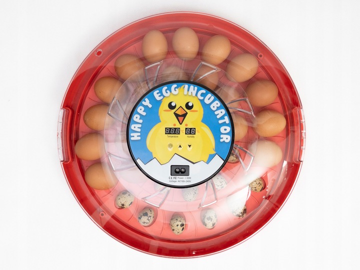 INKUBATOR klujnik wylęgarka do 30 JAJ drób kaczki