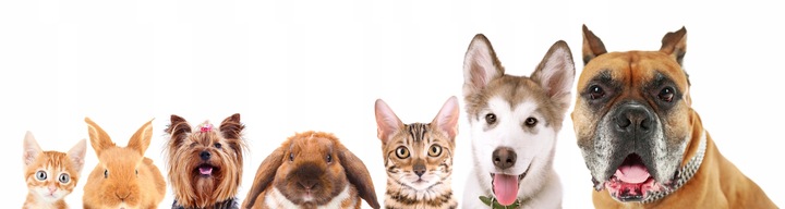 NEUTRALIZATOR ZAPACHU MOCZU PSA 1L