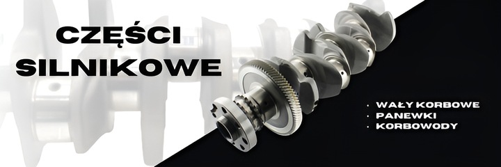 Paski pomiarowe luzu silnika Plastic Gauge 10szt KS KOLBENSHMIDT ORYGINAŁ