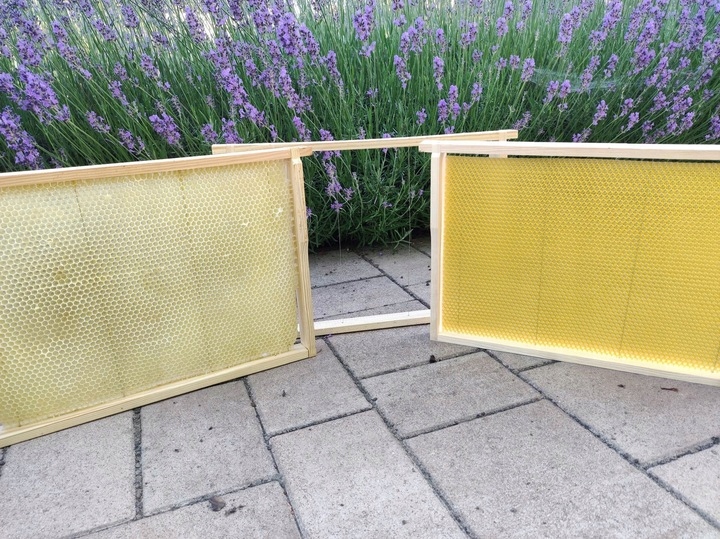 Węza pszczela WIELKOPOLSKA Łysoń 1 kg BADANA naturalny Wosk Pszczeli -