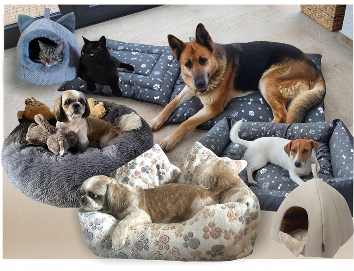 Fotelik samochodowy dla psa Transporter Velvet