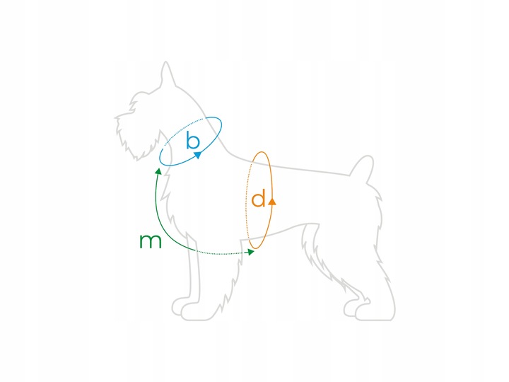 amiplay Szelki regulowane Guard BeHappy M Jungle