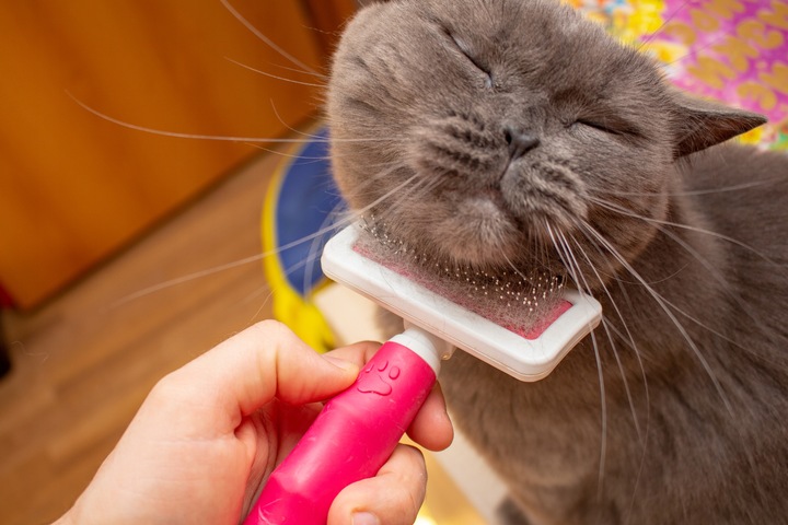 TOTOBI Naturalna mgiełka przeciwkleszczowa przeciwpchelna na pasożyty