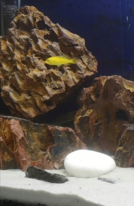 16kg Biały Piasek Kwarcowy do Akwarium 0,5-1mm