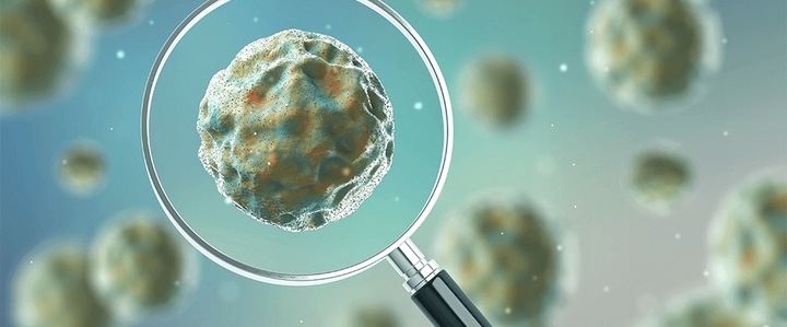 Tabletki biologiczne do szamba 12 + 4szt GRATIS