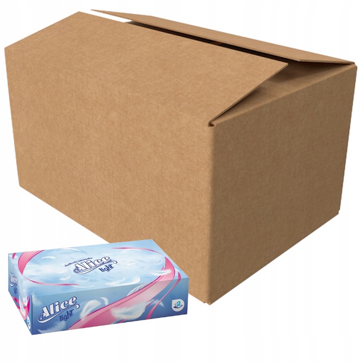 CHUSTECZKI HIGIENICZNE W PUDEŁKU WYCIĄGANE 12x 100 SZTUK 2-WARSTWY