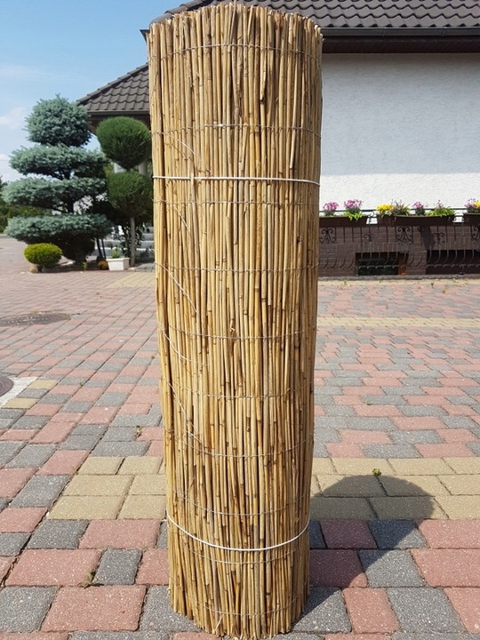 Mata trzcinowa 180 x 600 cm Maty trzcinowe 1.8 x 6