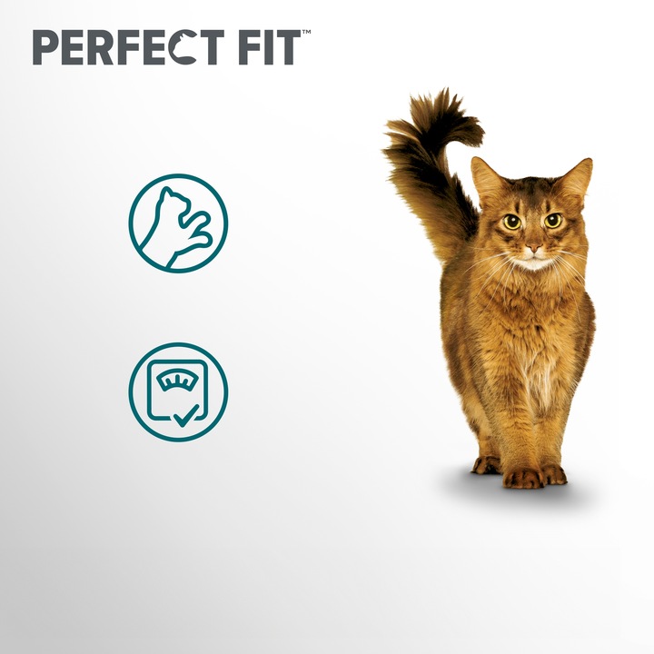 PERFECT FIT Sterile sucha karma dla kota po sterylizacji z kurczakiem 7 kg