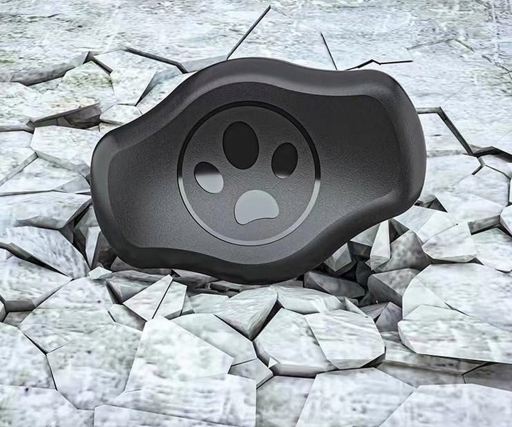 Etui case na lokalizator Apple AirTag na obrożę psa kota GPS