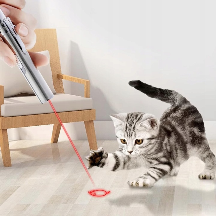 Laser dla kota Wskaźnik laserowy dla kota USB 3w1 latarka UV