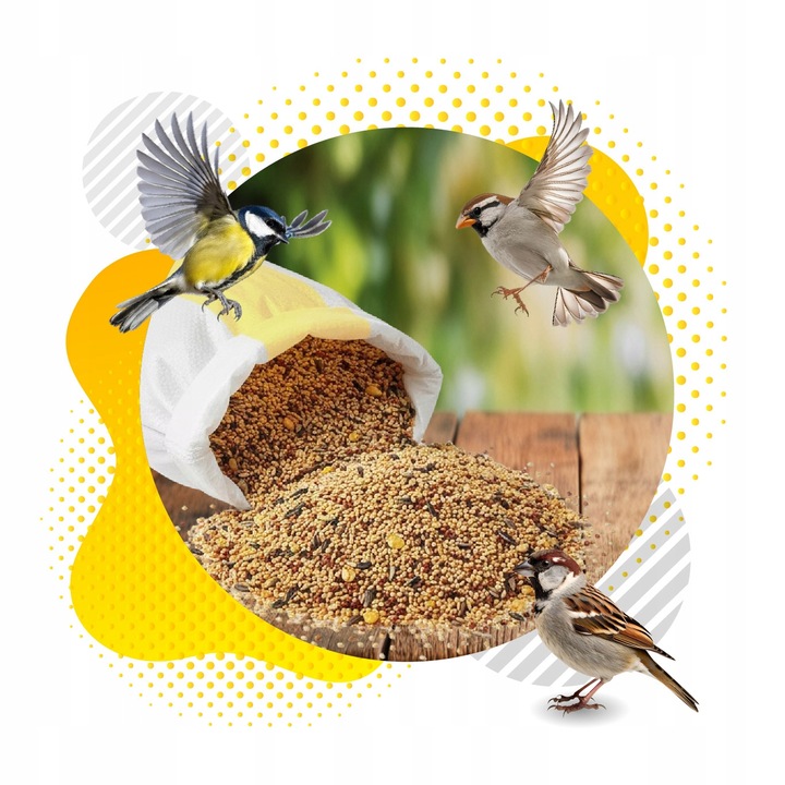 KARMA DLA PTAKÓW 20kg ZE SŁONECZNIK DROBNE ZIARNO DO KARMNIK + PLAKAT