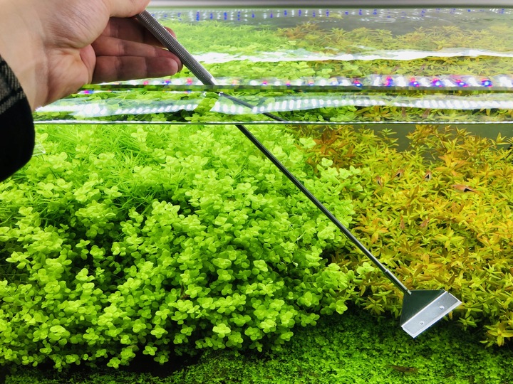 INVITAL Algae Scraper Pro