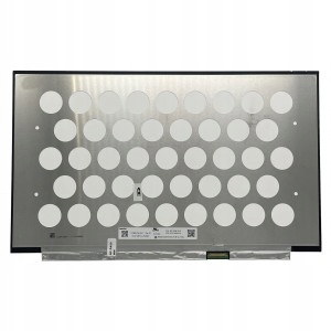 B156HAN09.0 N156HCA-EN1 100% SRGB