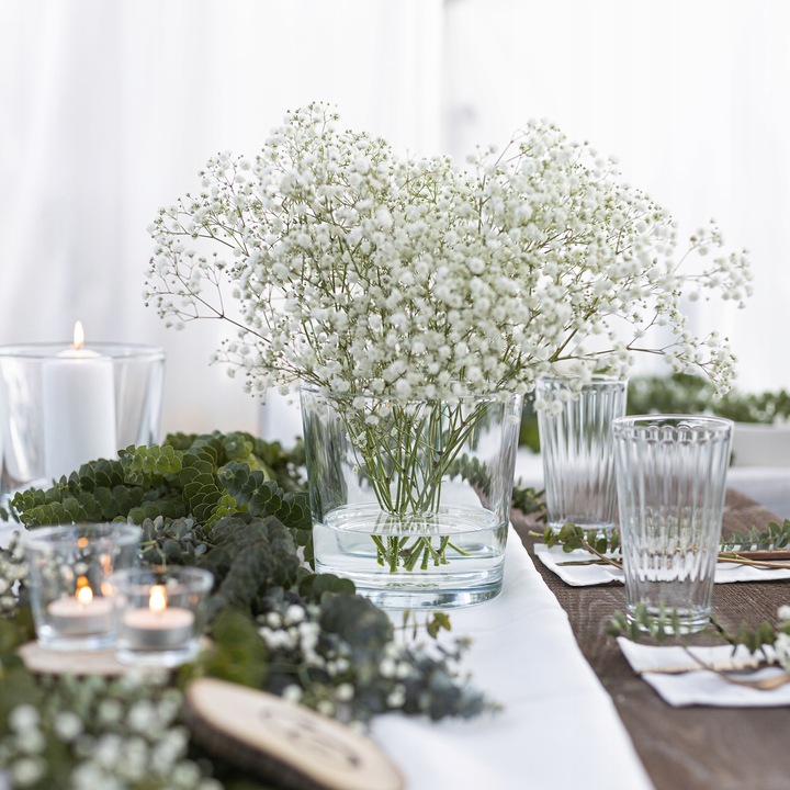 OSŁONKA SZKLANA Na STORCZYK Rośliny Doniczkę Przezroczysta H 16 cm