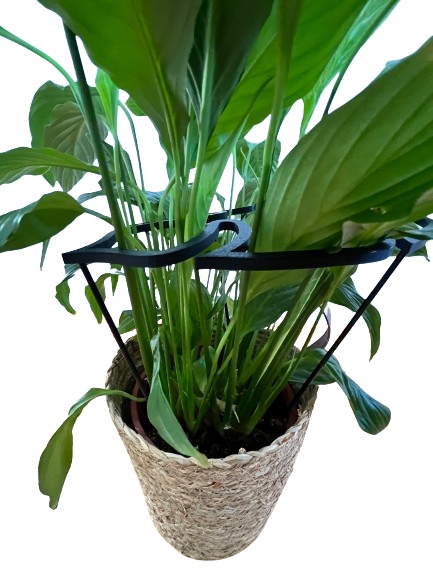 Podpórki do roślin kwiatów podpórka podpora obręcz RING MONSTERA M 33cm