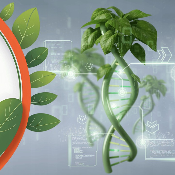 Bakterie do szamba na ROK Tabletki do oczyszczalni 12+3szt GRATIS