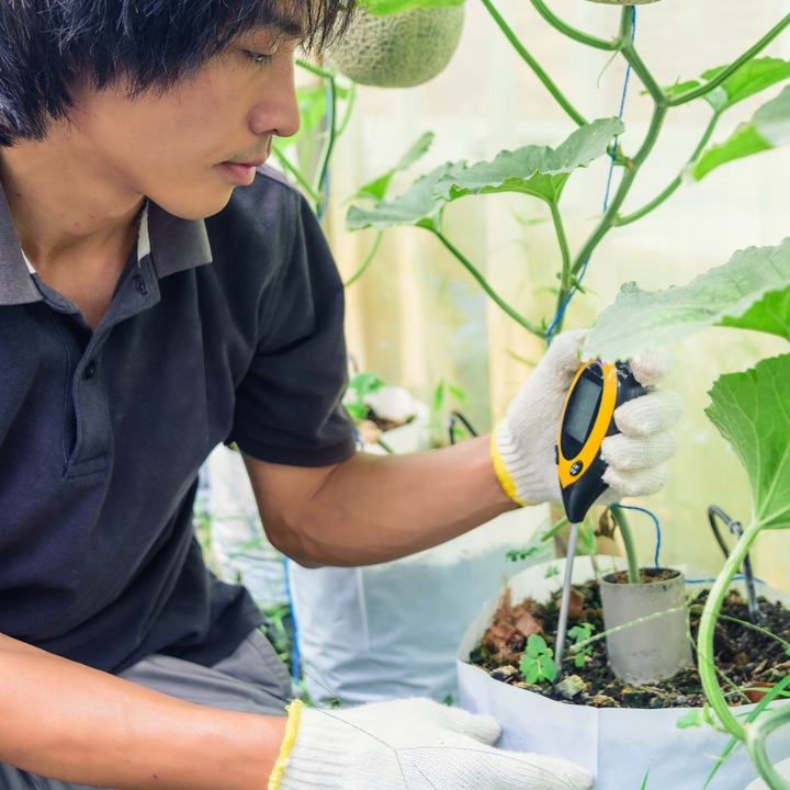 KWASOMIERZ MIERNIK TESTER OGRODNICZY PH GLEB ZIEMI