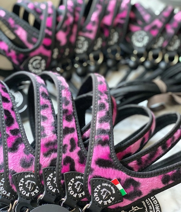 SZELKI dla dużego kota 38-48cm do 6kg Brytyjski TRE PONTI Leopard różowe