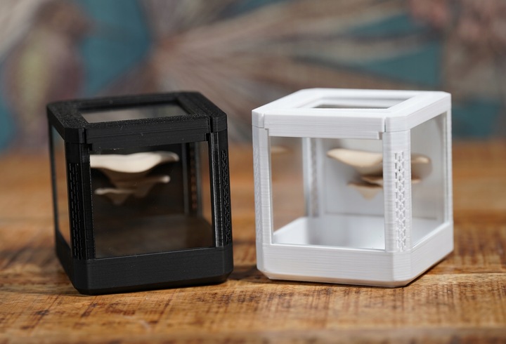 Terrarium szklane -6,5 x 6,5 x 6,5 dla pająka, modliszki, skakuna