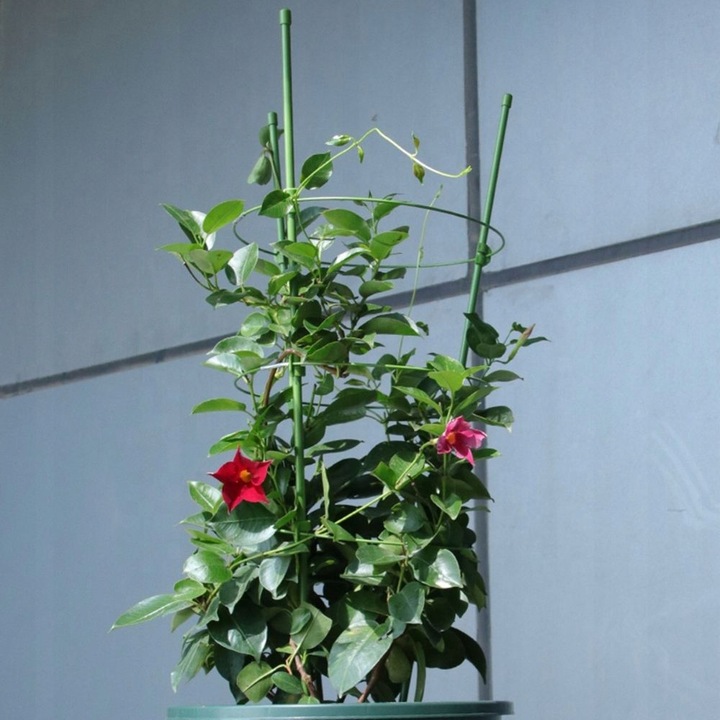 Podpórka do Kwiatów Podpora dla Roślin Doniczkowych na Kwiatka DUŻA 61cm 3x