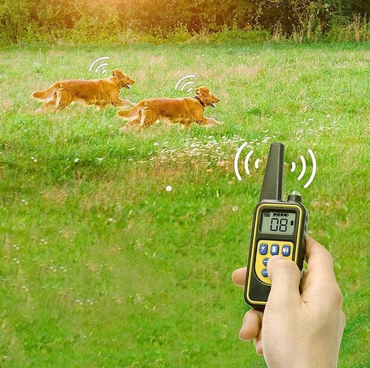 ELEKTRYCZNA OBROŻA DLA PSA 800M TRENINGOWA + PILOT