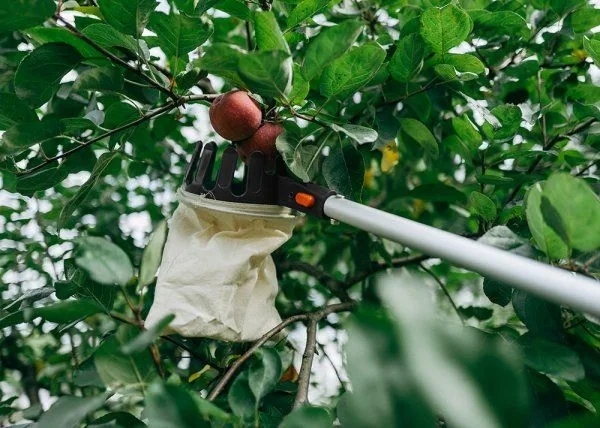 Zbierak do owoców teleskopowy trzonek koszt z tkaniny 3,75m
