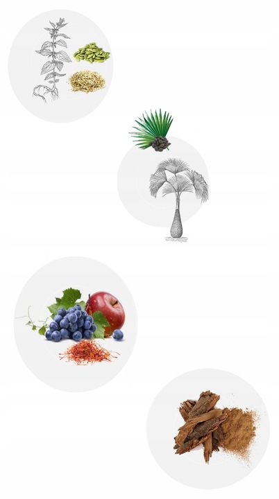 Witaminy na Prostatę Wsparcie Układu Moczowego Naturalny Beta-Sitosterol