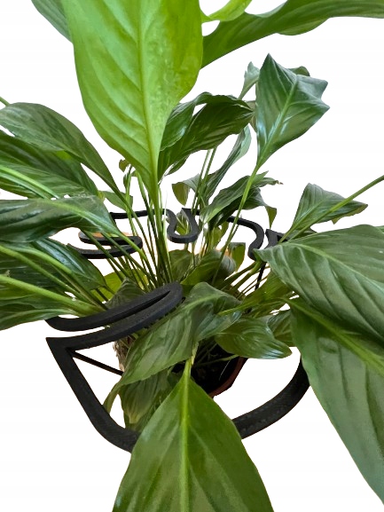 Podpórki do roślin kwiatów podpórka podpora obręcz RING MONSTERA M 33cm