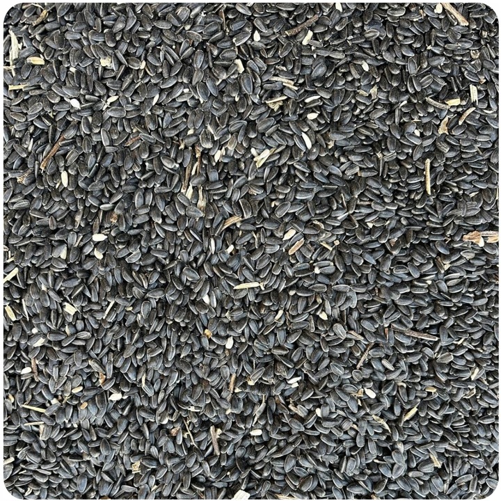 SŁONECZNIK CZARNY KARMA POKARM ZIARNO DLA DZIKICH PTAKÓW DO KARMNIK