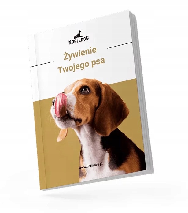 MISKI NA STOJAKU dla psa DUŻEGO STOJAK DREWNIANY bufet 2x 1,8 L + treserki