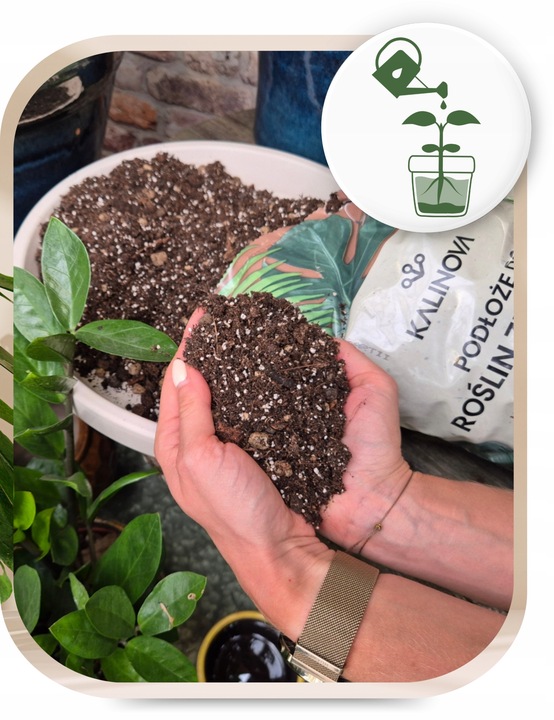 Podłoże Bigos lekka ziemia 3 x 8L do roślin zielonych Mieszanka