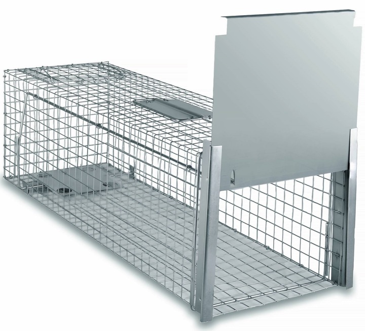 ŻYWOŁAPKA PUŁAPKA NA KUNY SZCZURY ŁASICE NORKI TCHÓRZE ŁASKI ŁAPKA