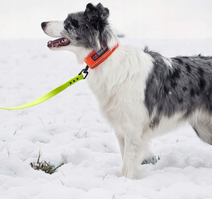 SMYCZ TRENINGOWA dla Psa MOCNA BIOTHANE PVC 3m