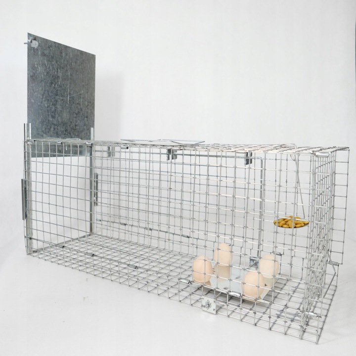 ŻYWOŁAPKA PUŁAPKA NA KUNY SZCZURY ŁASICE NORKI TCHÓRZE ŁASKI ŁAPKA