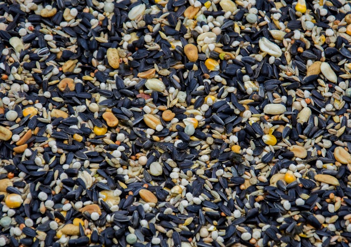 KARMA PREMIUM SŁONECZNIK ORZECH ZIARNO DO KARMNIK DLA DZIKICH PTAKÓW