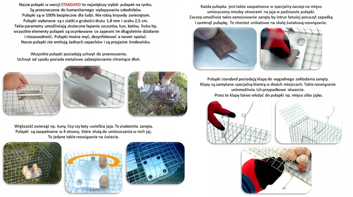 żywołapka pułapka na kuny, koty, lisy super szybka