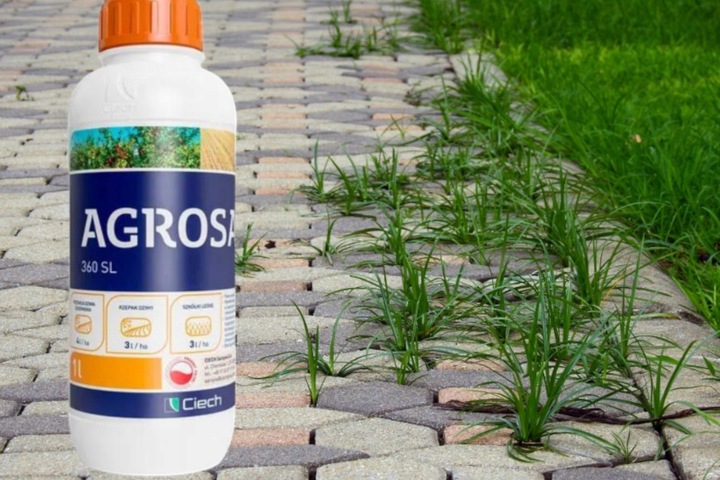 Agrosar 360 SL 1L glifosat 360g/l, niszczy wszystkie chwasty, perz,
