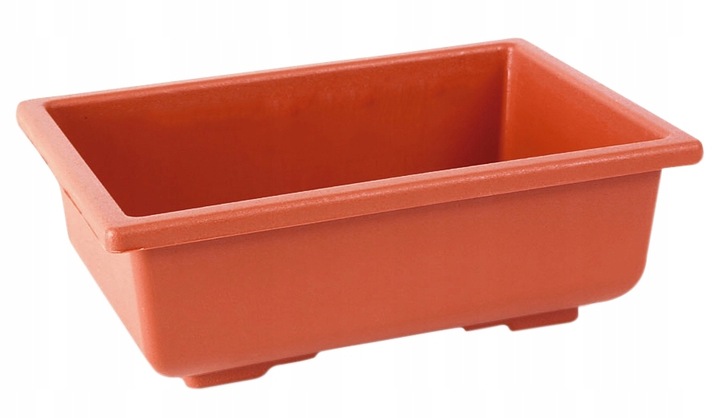 ZESTAW DO UPRAWY EUKALIPTUS SREBRNY DRZEWKO BONSAI NASIONA 5 SZT WIELOLETNI