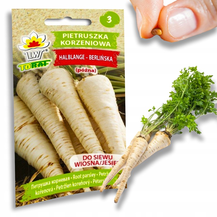 Nasiona warzyw marchew ogórek pietruszka burak NA DOBRY START UDANE PLONY