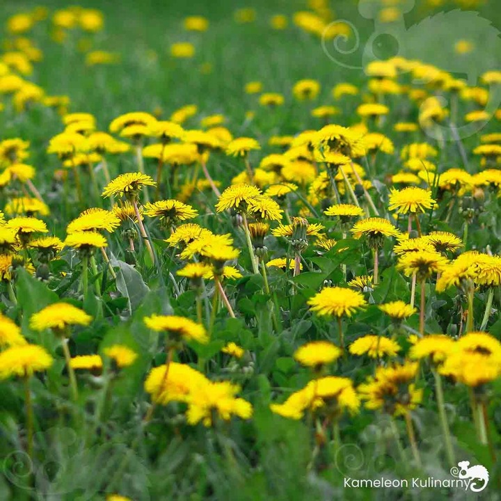 KAWA Z MNISZKA Zestaw: Naturalna + Orzechowa + Kawowa 3szt x 150G 0,45KG