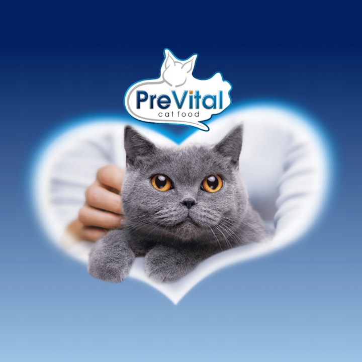 MOKRA KARMA DLA KOTA MEGA BOX MIX SMAKÓW 24X100G SASZETKI DLA KOTA PREVITAL