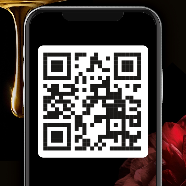 Syoss Oleo Farba do Włosów Brązowa Czerń 2-10 x 2