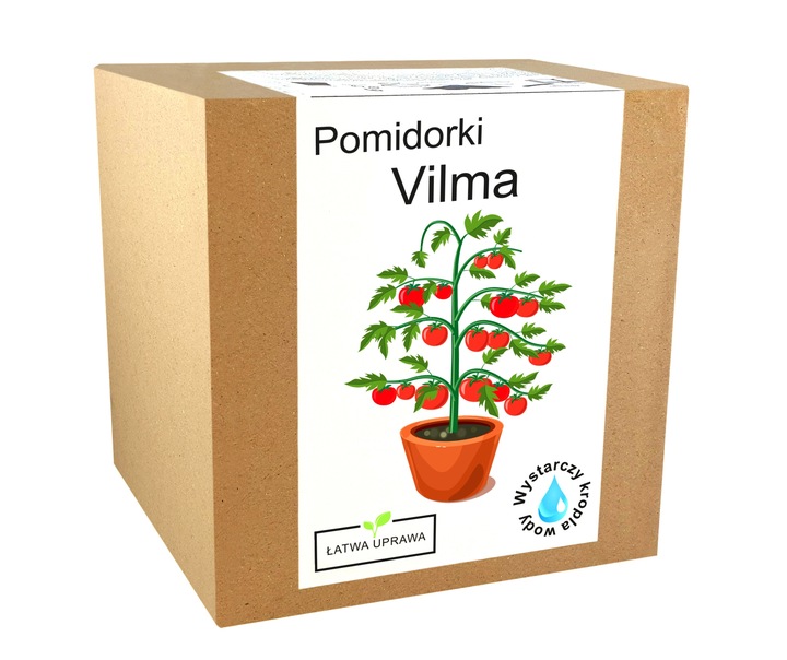 ZESTAW DO UPRAWY POMIDOR VILMA POMIDORY KOKTAJLOWE NASIONA 10x WIELOLETNIA