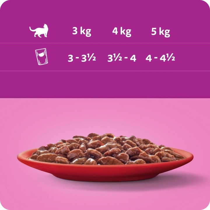 KARMA MOKRA WHISKAS KLASYCZNE POSIŁKI W SOSIE SASZETKI 40X85G