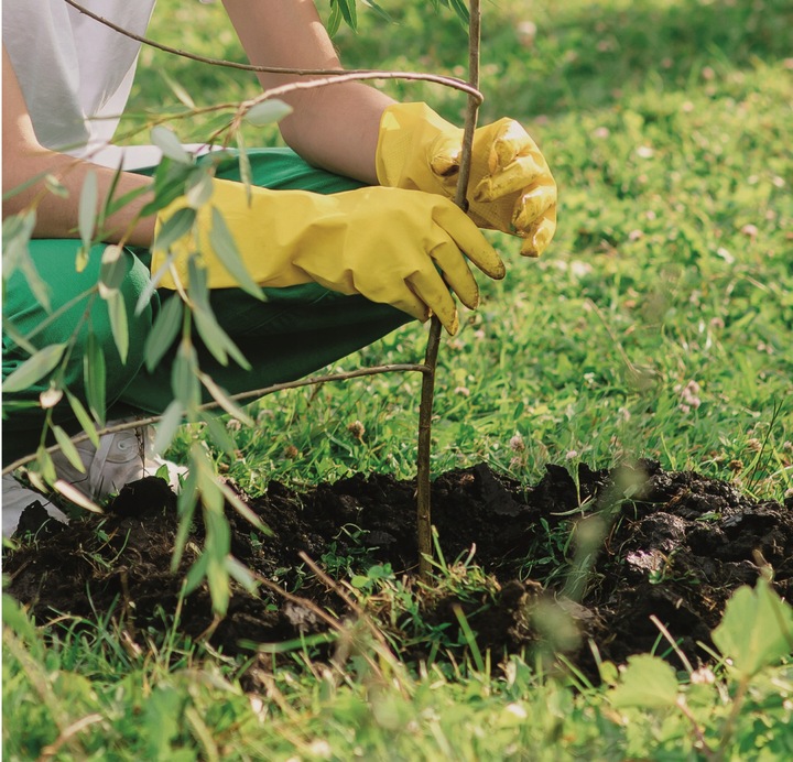 Spalinowy Świder Ziemny Wiertnica Spalinowa Glebowa 2 Wiertła SCHEPPACH