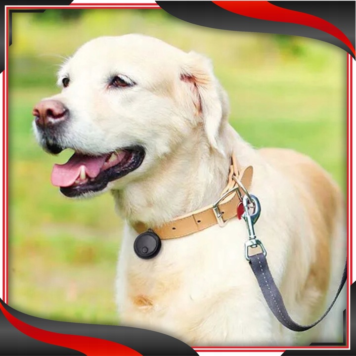 Mini lokalizator dla psa kota do roweru pojazdów kluczy torby SmartTag